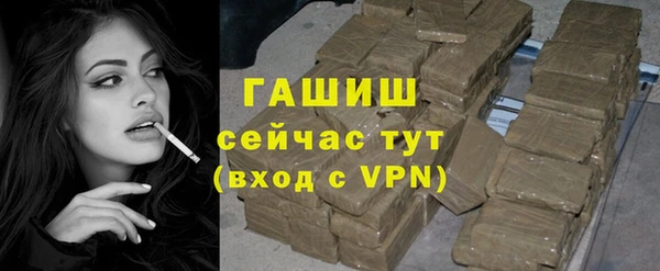 гидра Михайловка