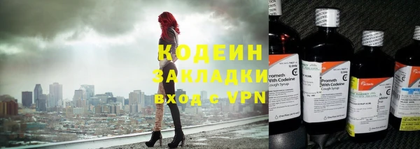 индика Михайловск