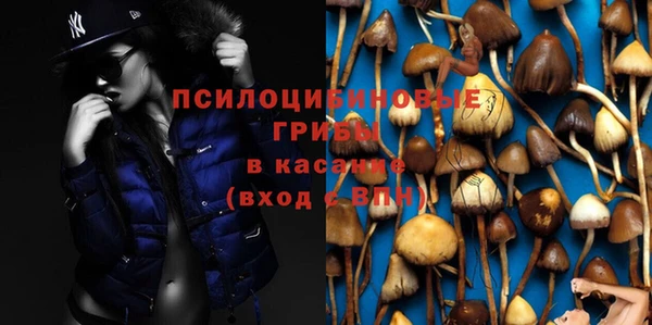 mdpv Алзамай