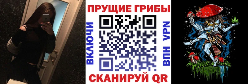 Псилоцибиновые грибы GOLDEN TEACHER купить наркоту mega ссылки Сочи